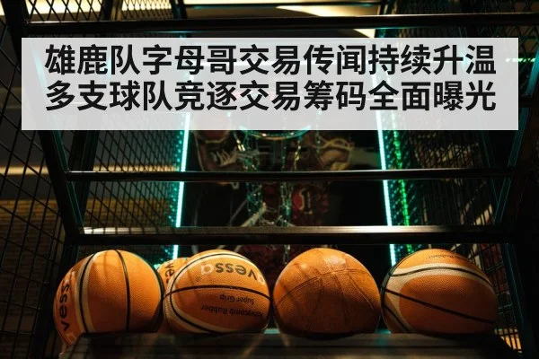 雄鹿队字母哥交易传闻持续升温多支球队竞逐交易筹码全面曝光