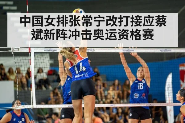 volleyball match action