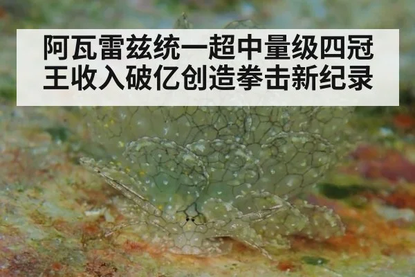 阿瓦雷兹统一超中量级四冠王收入破亿创造拳击新纪录
